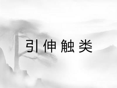 引伸触类