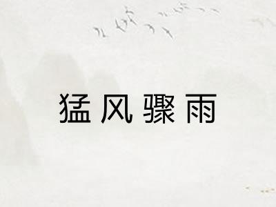 猛风骤雨
