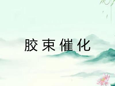 胶束催化