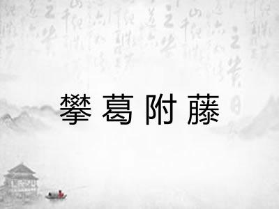 攀葛附藤