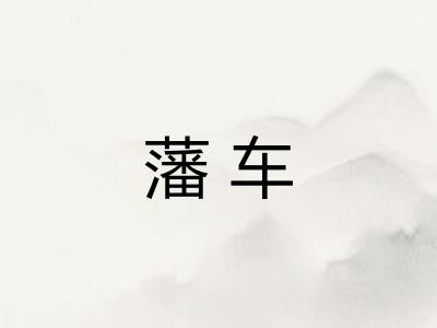 藩车