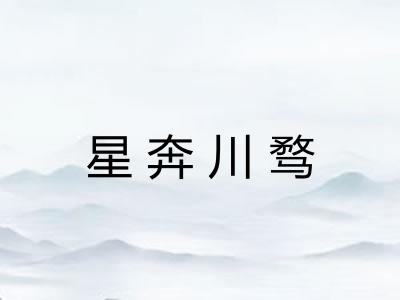 星奔川骛