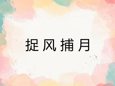 捉风捕月