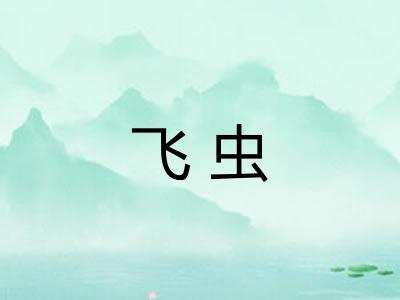 飞虫