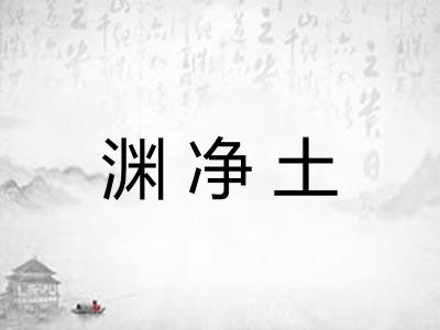 渊净土