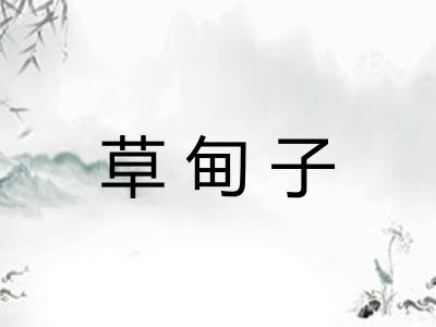 草甸子
