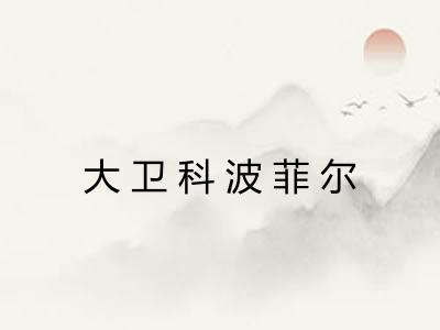 大卫科波菲尔