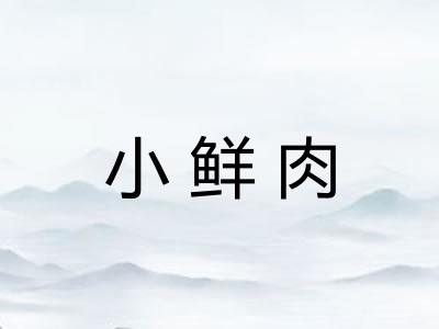 小鲜肉