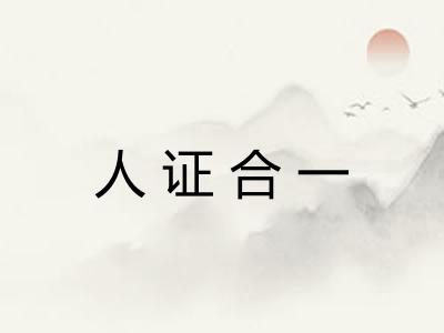 人证合一