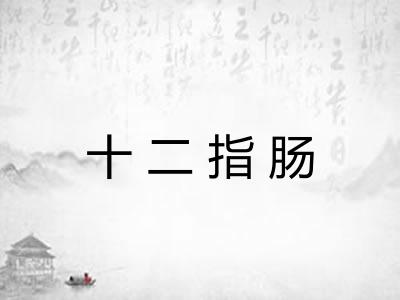 十二指肠