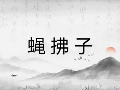 蝇拂子