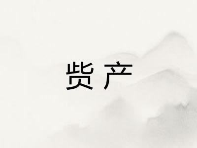 赀产