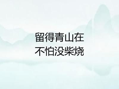 留得青山在不怕没柴烧