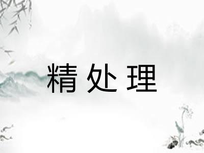 精处理