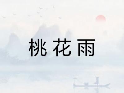 桃花雨
