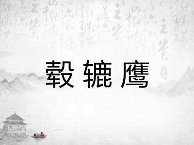 毂辘鹰