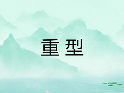 重型