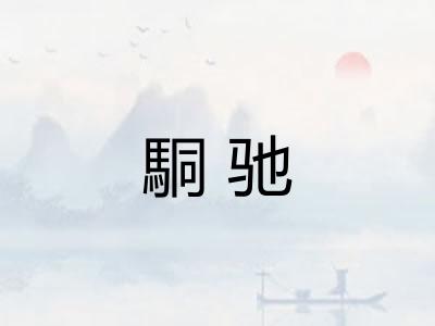 駧驰