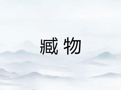 臧物