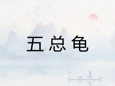 五总龟