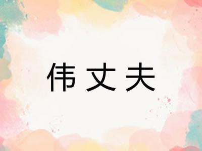 伟丈夫
