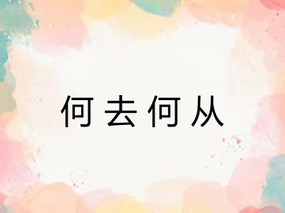 何去何从