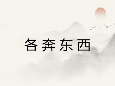 各奔东西