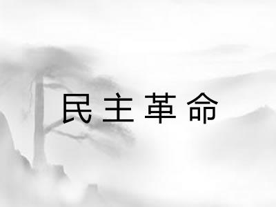 民主革命
