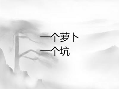 一个萝卜一个坑