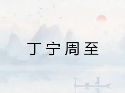 丁宁周至