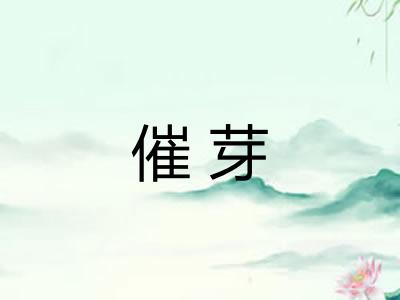 催芽