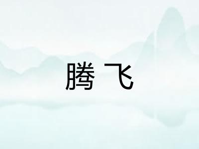 腾飞