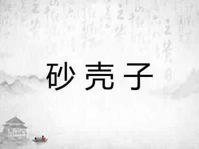砂壳子