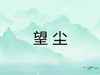 望尘