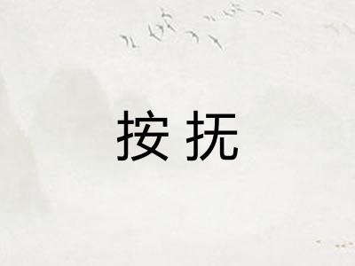 按抚