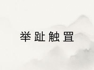 举趾触罝