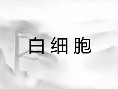 白细胞