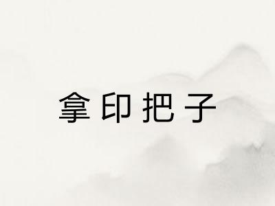 拿印把子