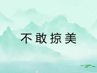 不敢掠美