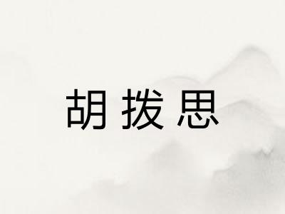 胡拨思