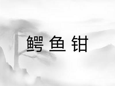 鳄鱼钳