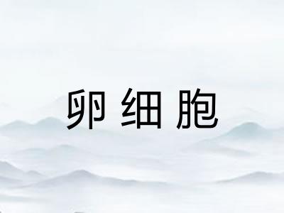 卵细胞