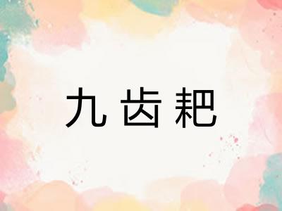 九齿耙