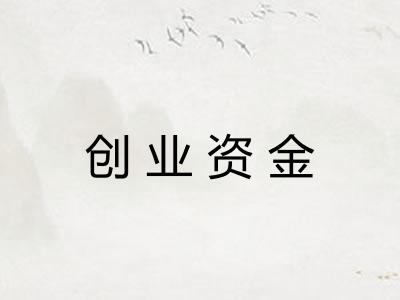 创业资金