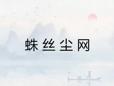 蛛丝尘网