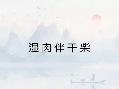 湿肉伴干柴