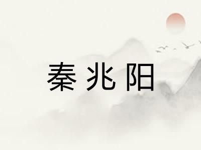 秦兆阳