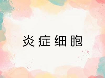 炎症细胞