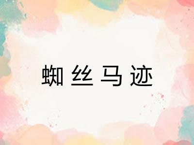 蜘丝马迹