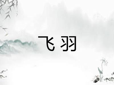 飞羽
